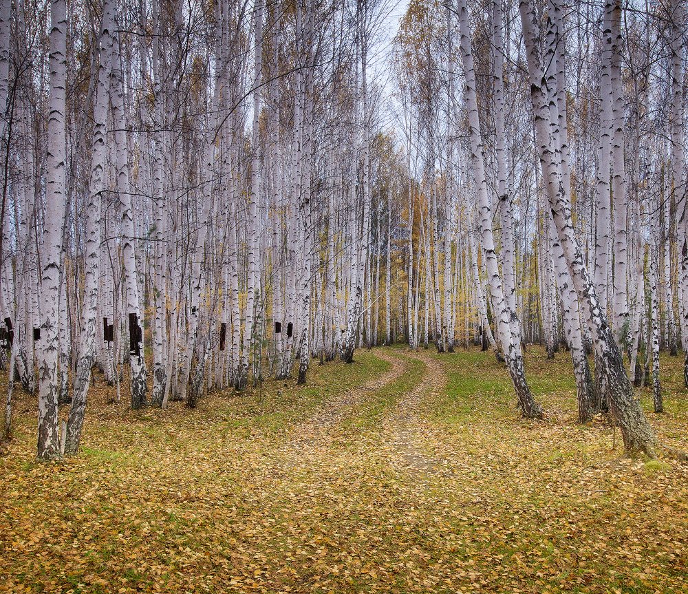 Там, где начинается дорога...