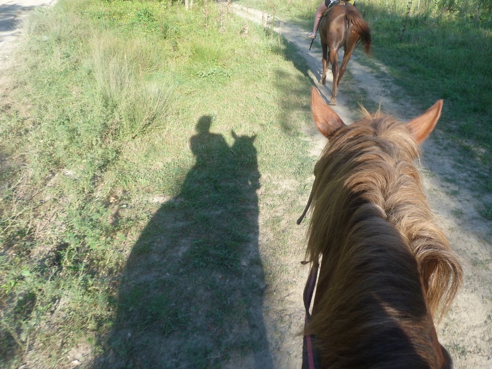 Photograph by Елизавета