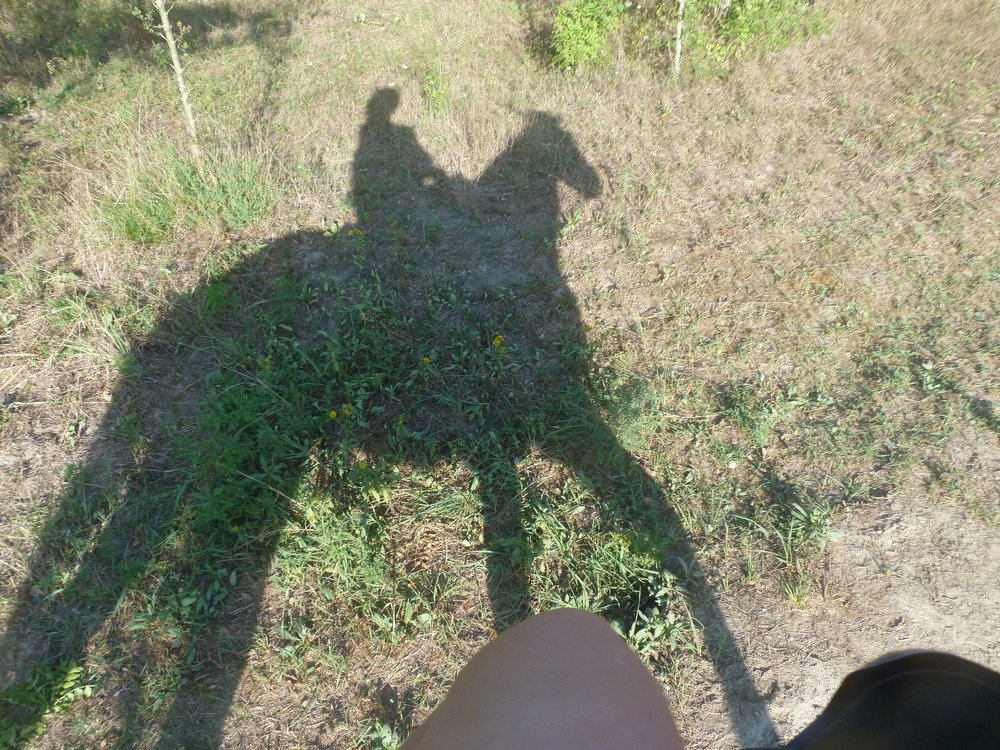 Photograph by Елизавета