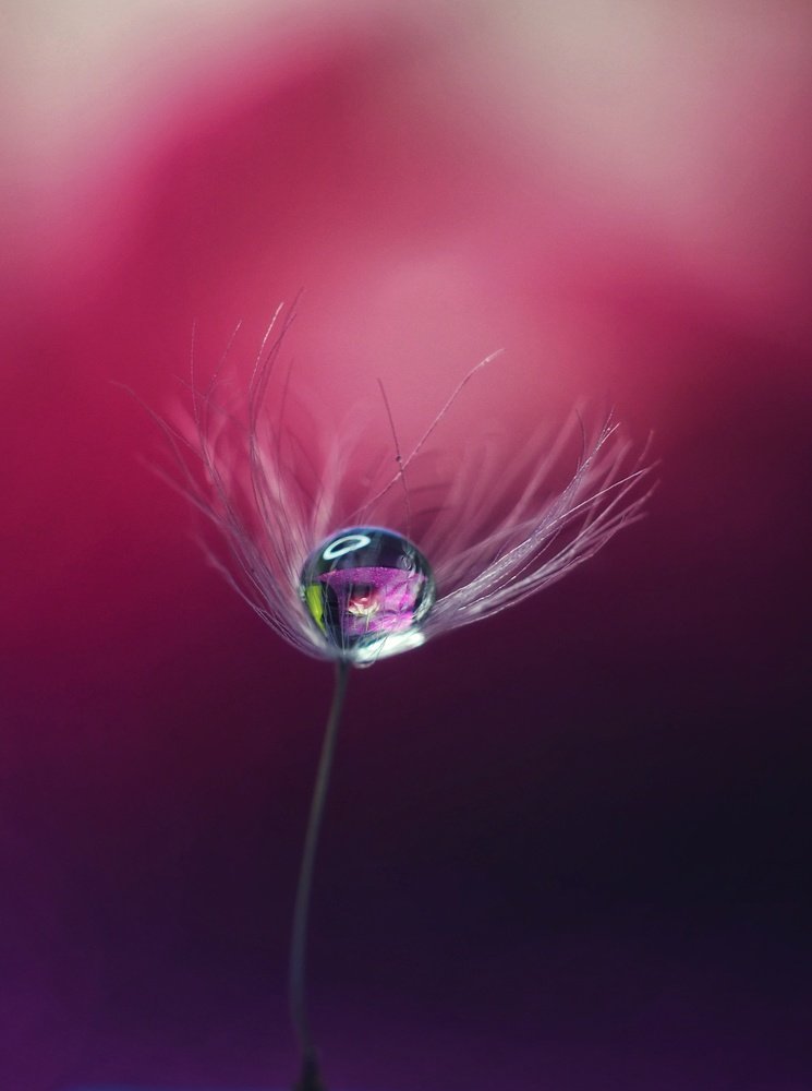 Photograph by Ольга Линк