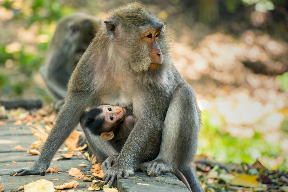 Photograph by Evgeniia Iakimenko