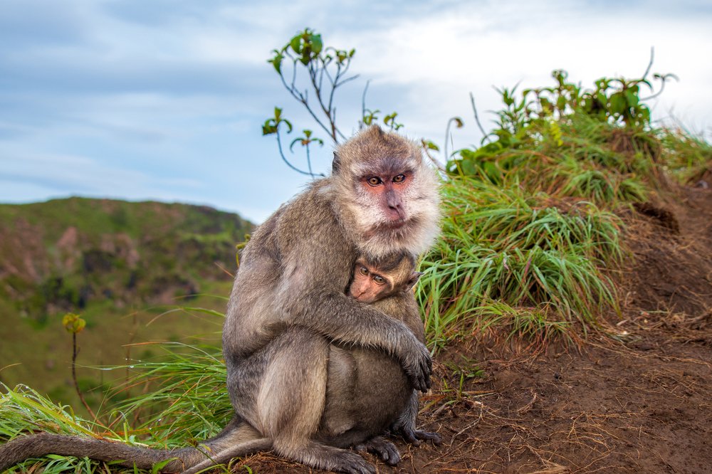 Photograph by Evgeniia Iakimenko