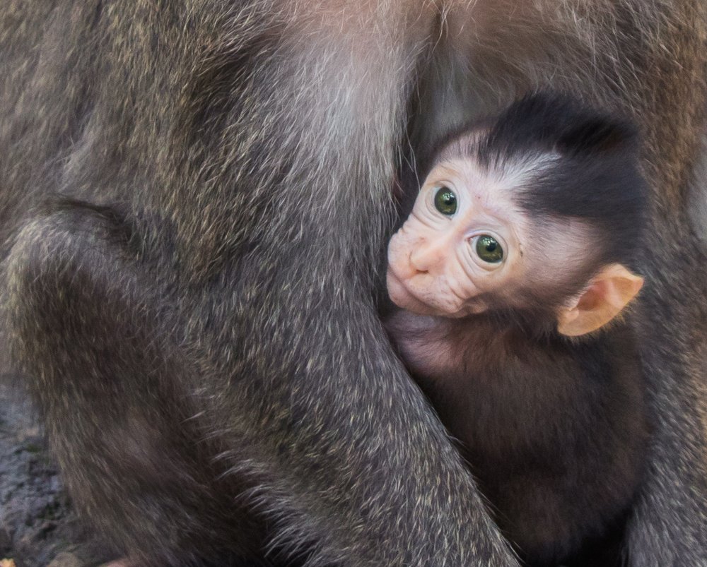 Photograph by Evgeniia Iakimenko