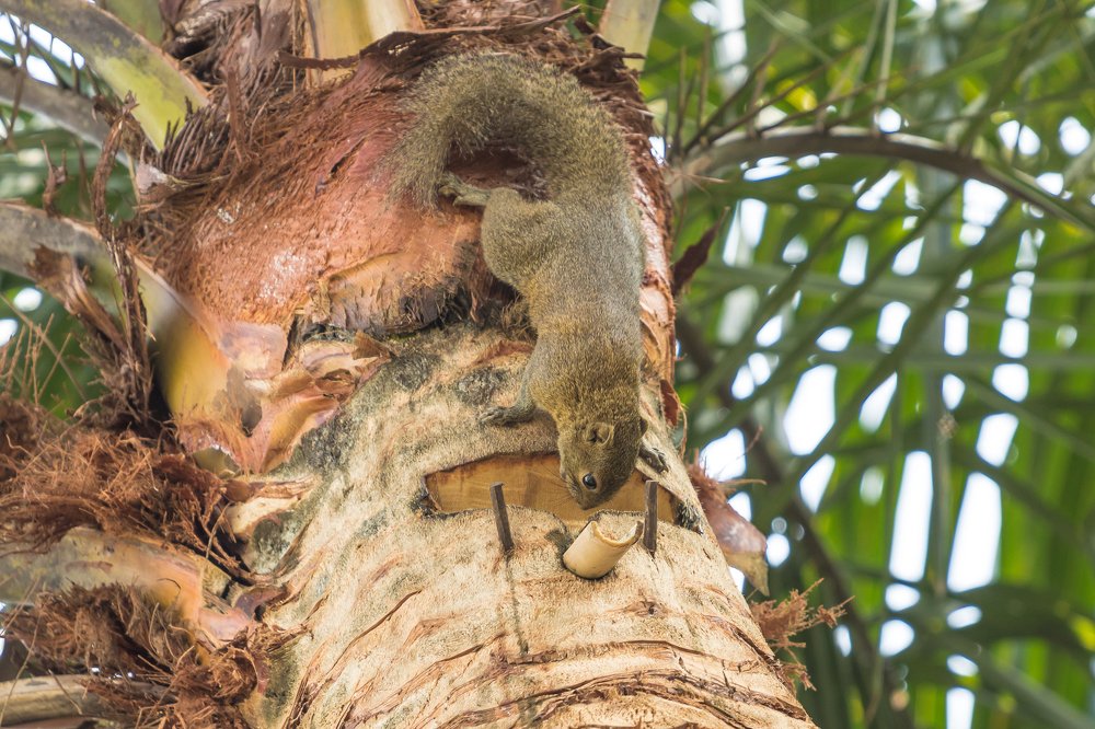 Photograph by Subrata Roy