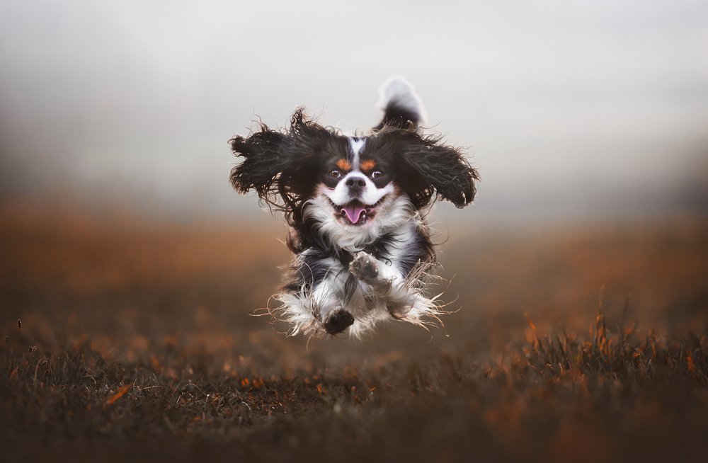 Photograph by Alena Trojanovičová