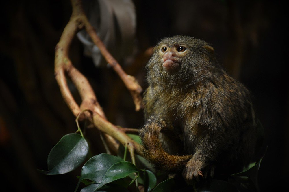 Photograph by Ija Reiman