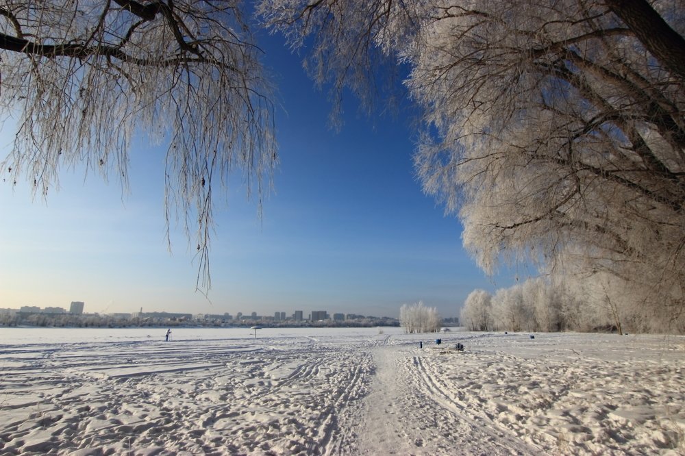Зимний пейзаж.