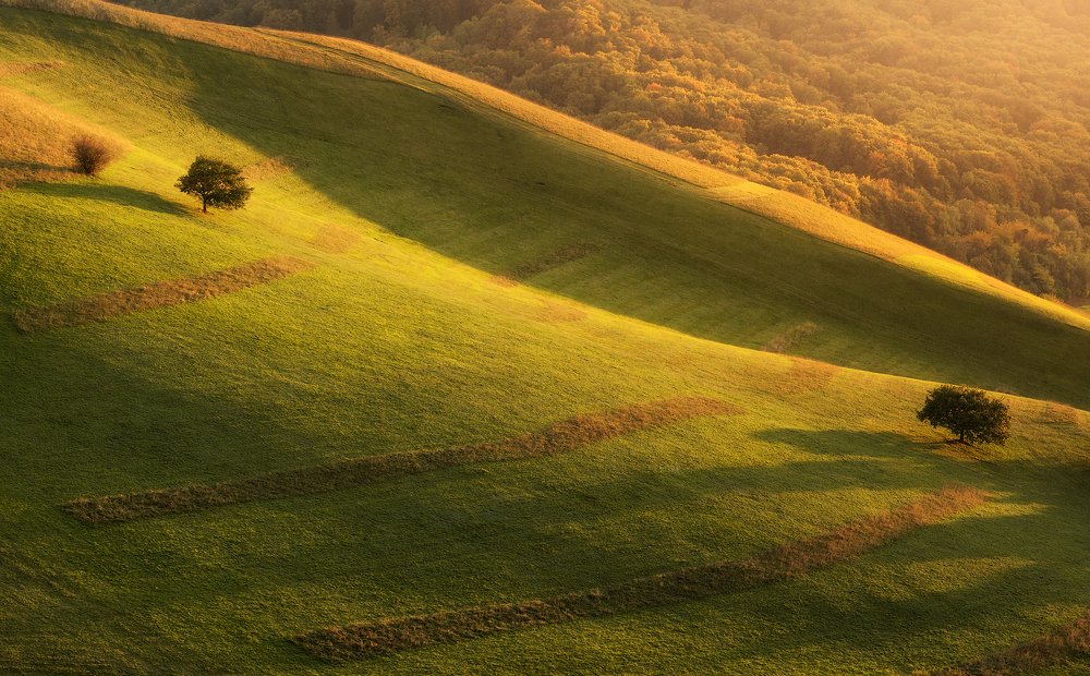 Photograph by Jens Ober