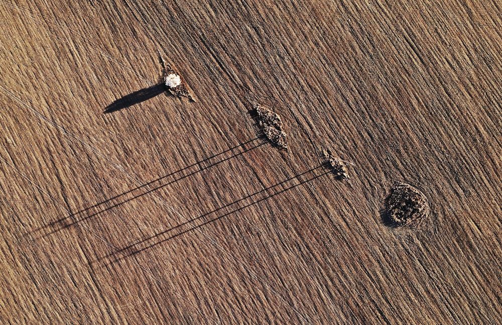 Фотография автора Максим