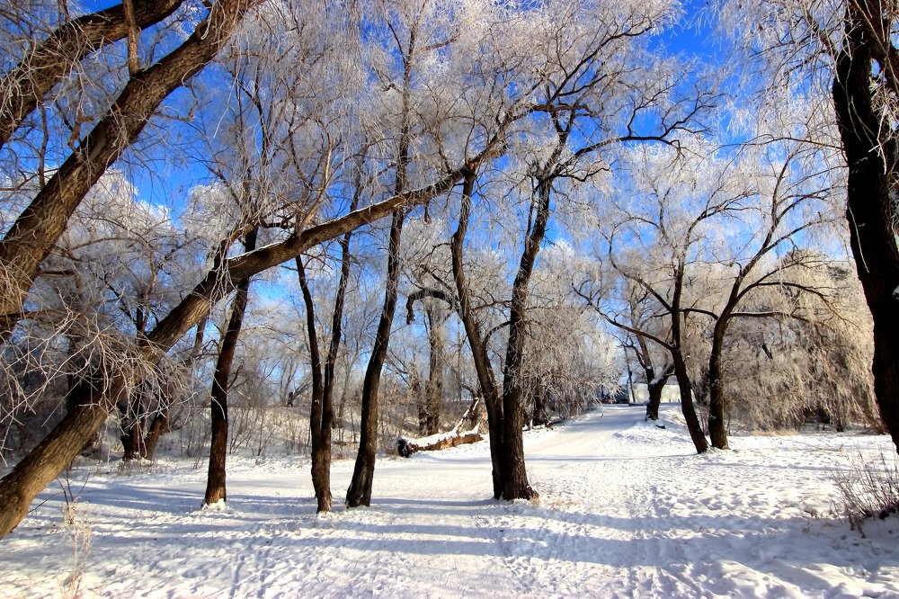 Photograph by Владимир Антонов