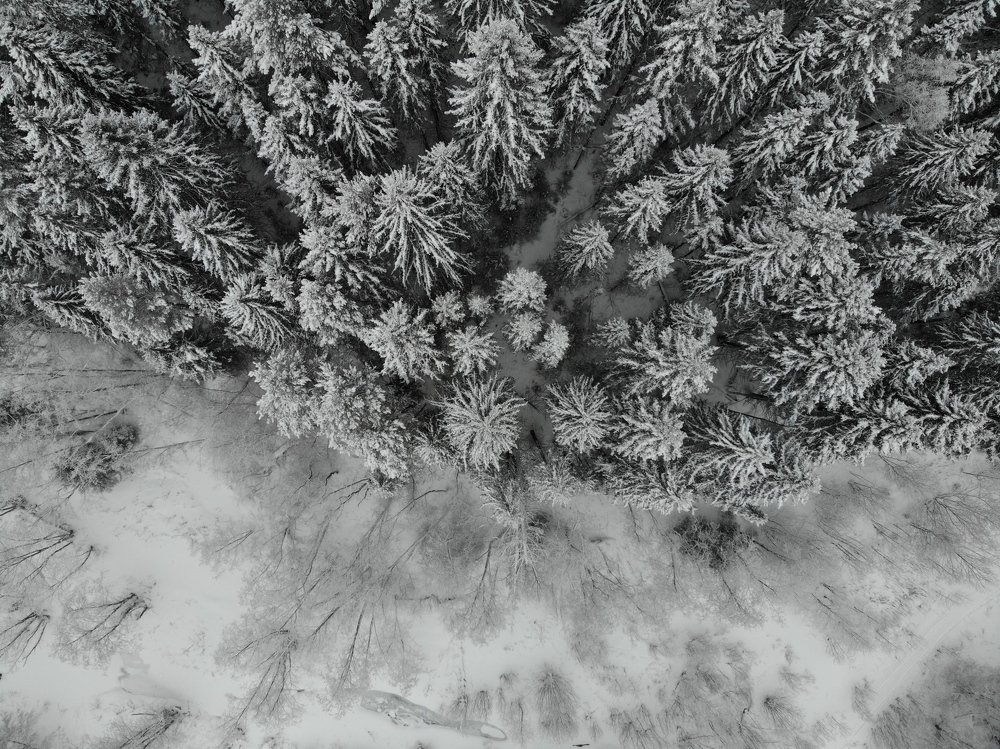 Photograph by Святослав Абросов