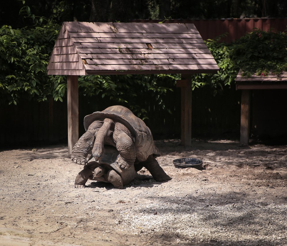 Photograph by Мирная Ксения