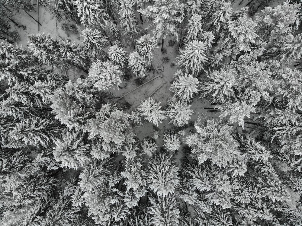Photograph by Святослав Абросов