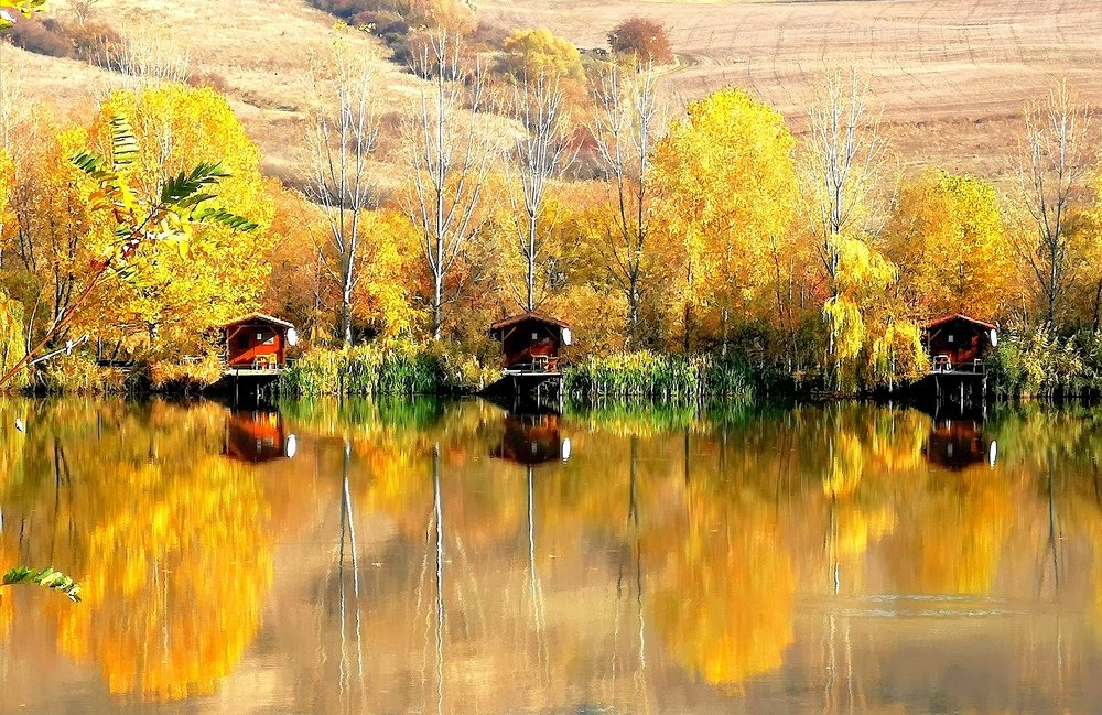 Photograph by Nicoleta Cherechesiu