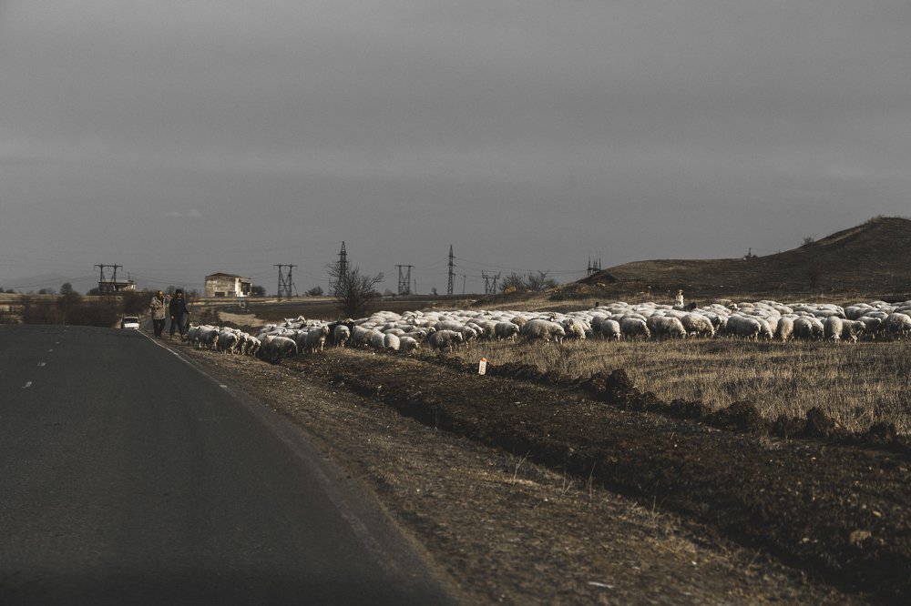 Photograph by Максим Моночков