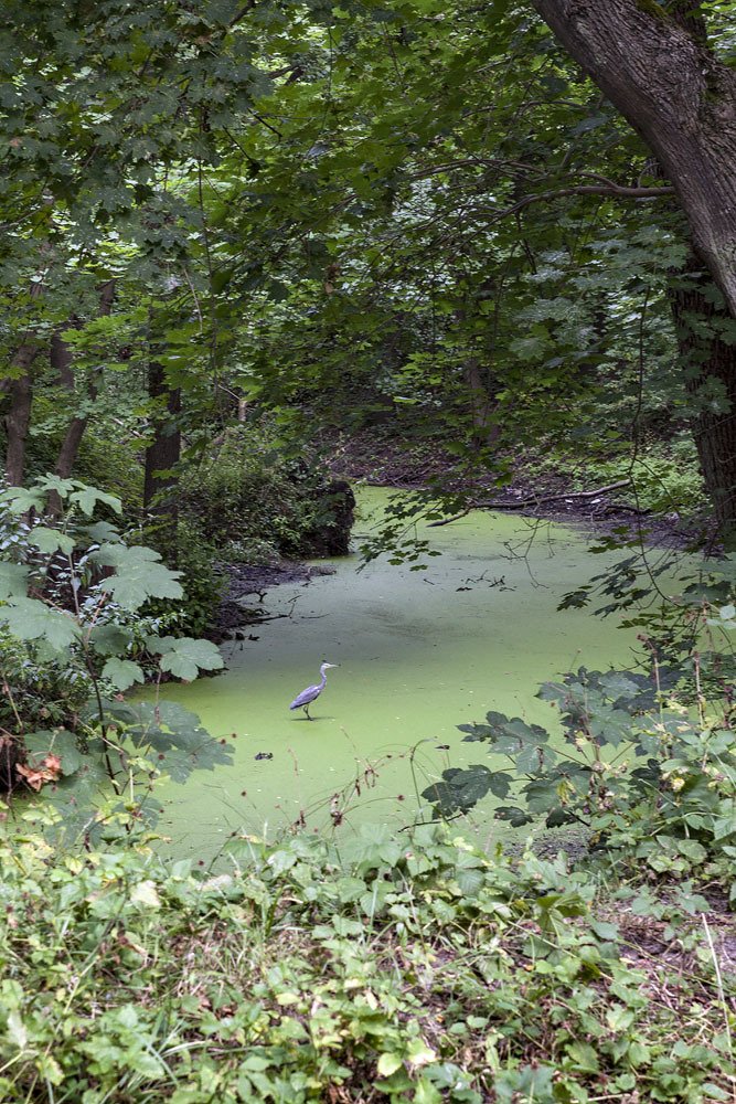 Photograph by Павел