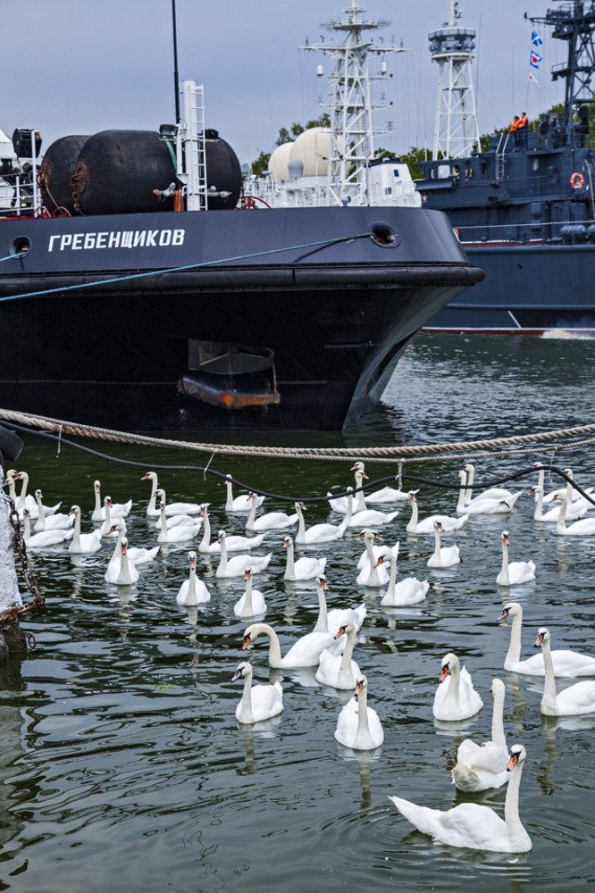 Photograph by Павел