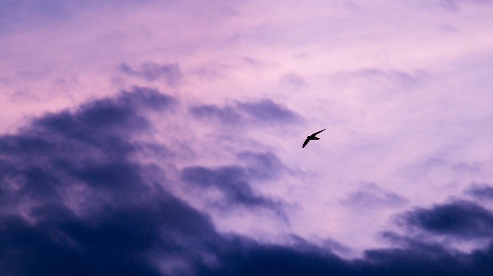 Photograph by Евгений Калагаев