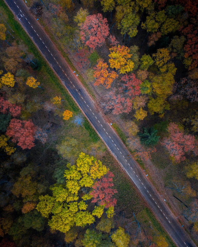 Photograph by Андрей Новичков