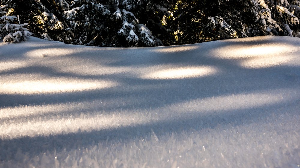 Photograph by LUKÁŠ KOZLÍK