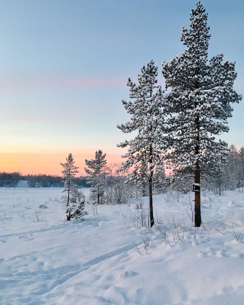 Январский день за полярным кругом