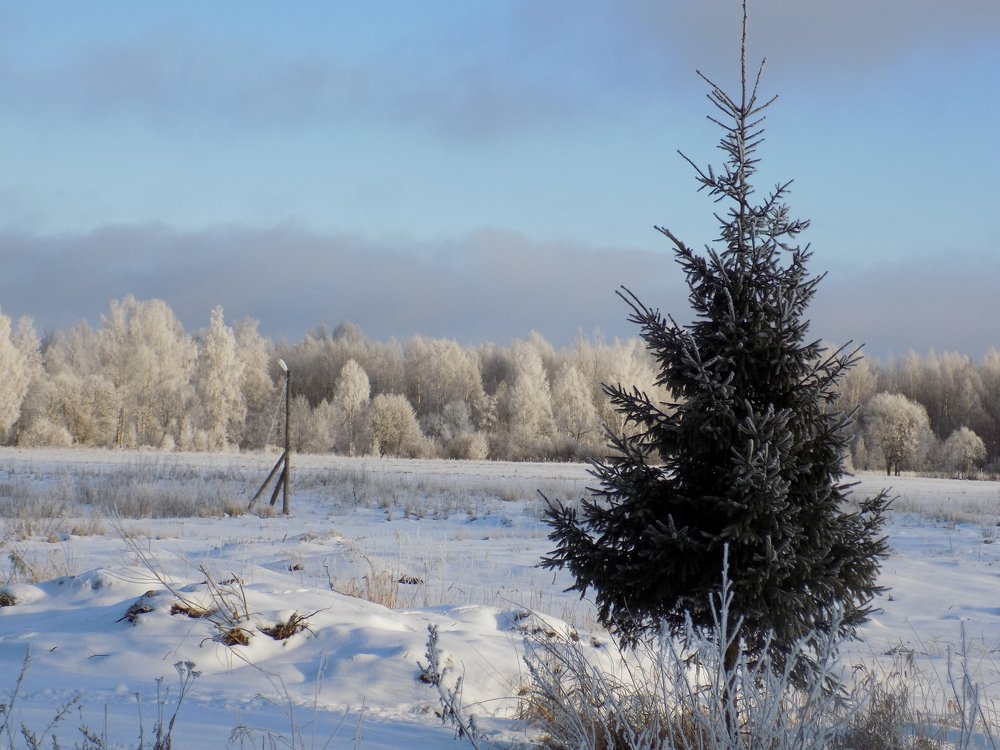 Photograph by Валентина Смирнова
