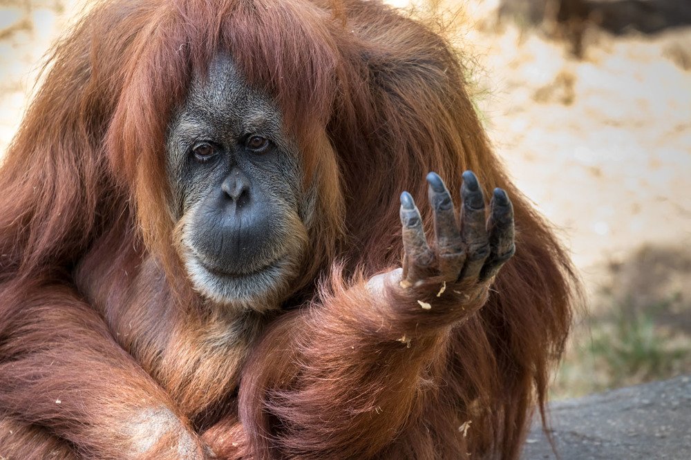 Фотография автора Nikolay Tatarchuk