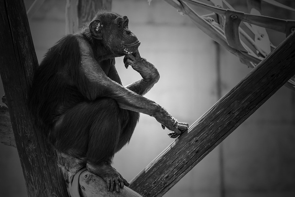 Photograph by Nikolay Tatarchuk