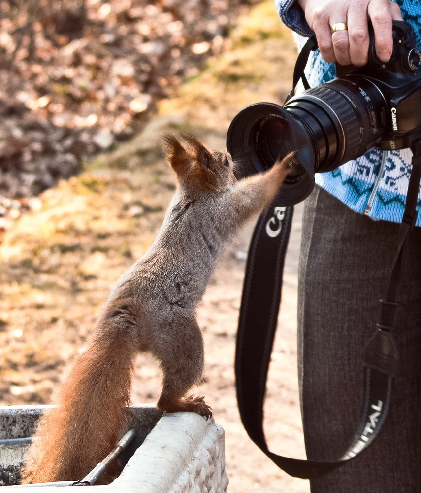 Ты сними-сними меня, фотограф...