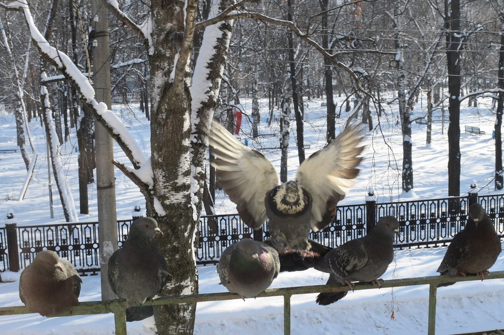 Photograph by Александра Лукашевич