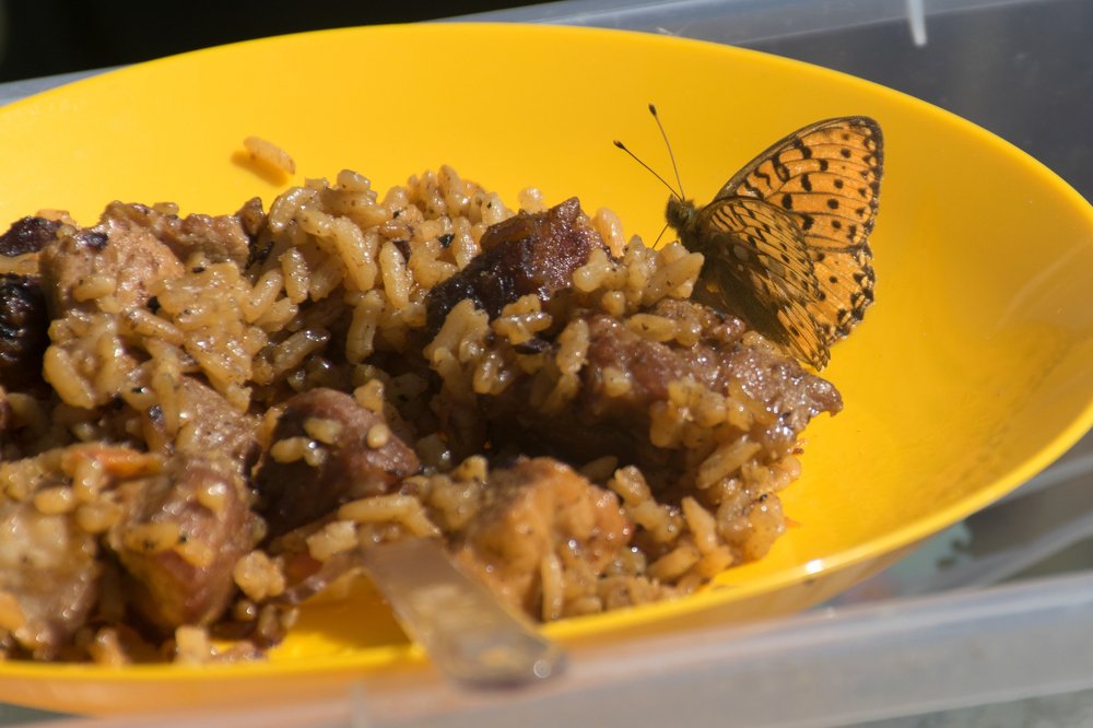 Photograph by Александра Лукашевич