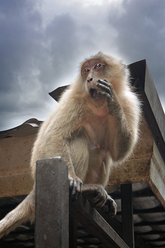 Фотография автора Юлия Демина