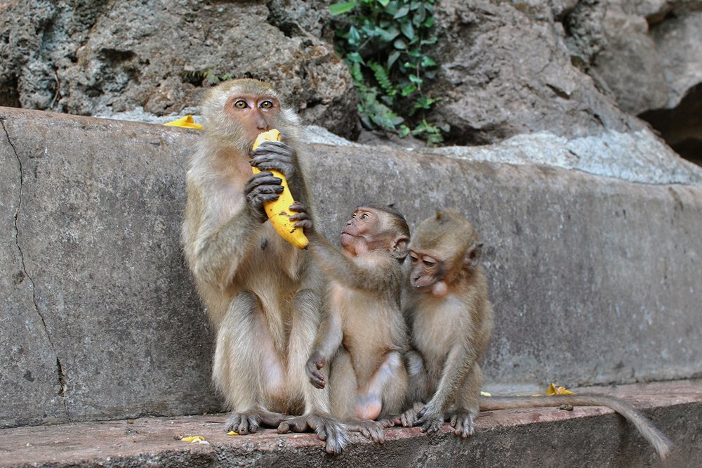 Фотография автора Юлия Демина