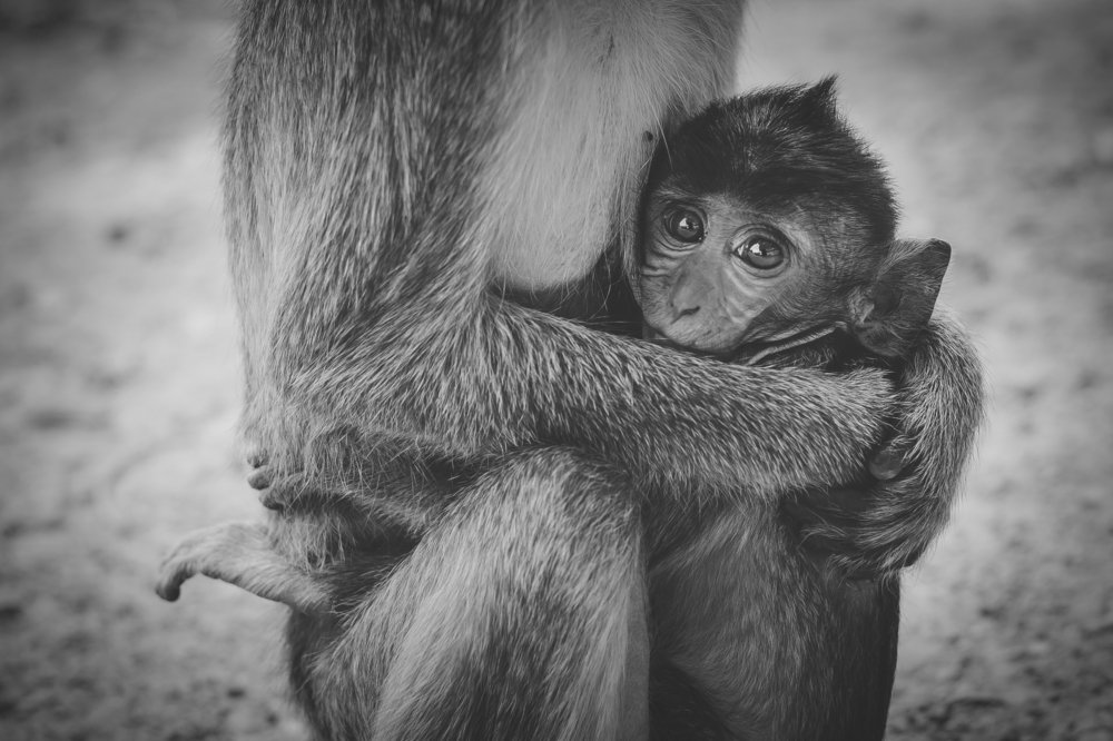 Фотография автора Екатерина Григорьева