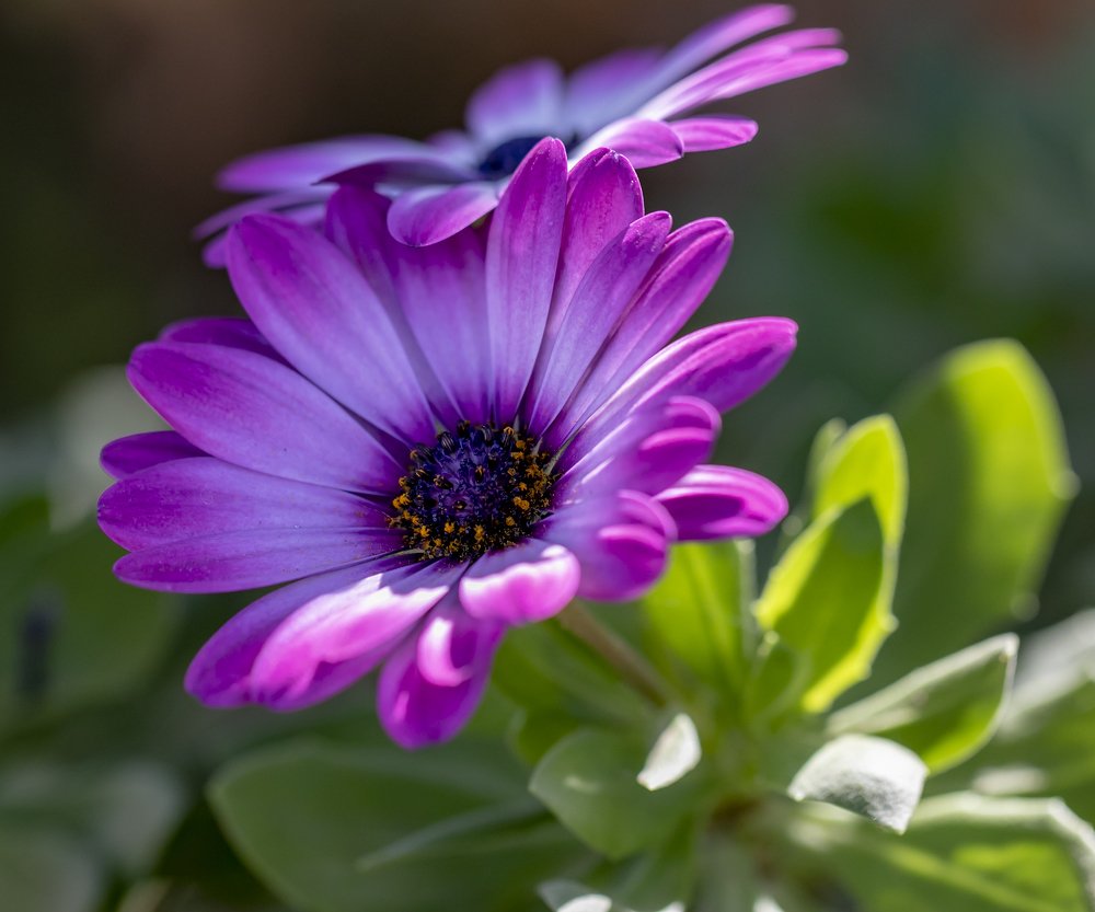 Photograph by Виталий Девяткин