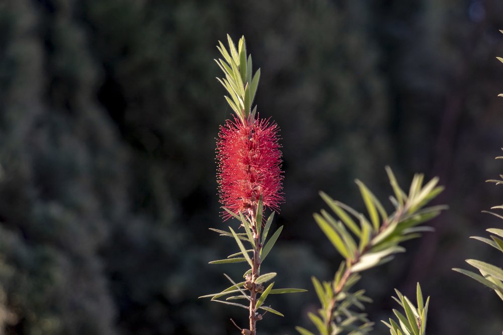 Photograph by Виталий Девяткин