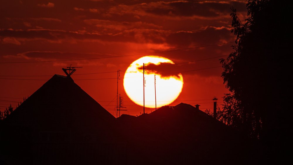 Photograph by Константин Ложеницын