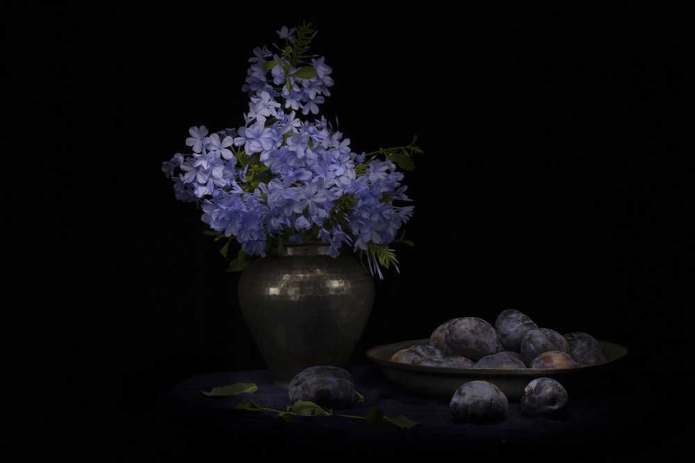 Blue flowers and plums