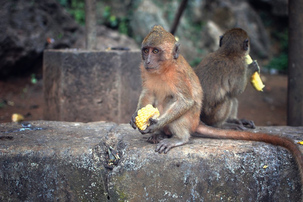 Фотография автора Юлия Демина
