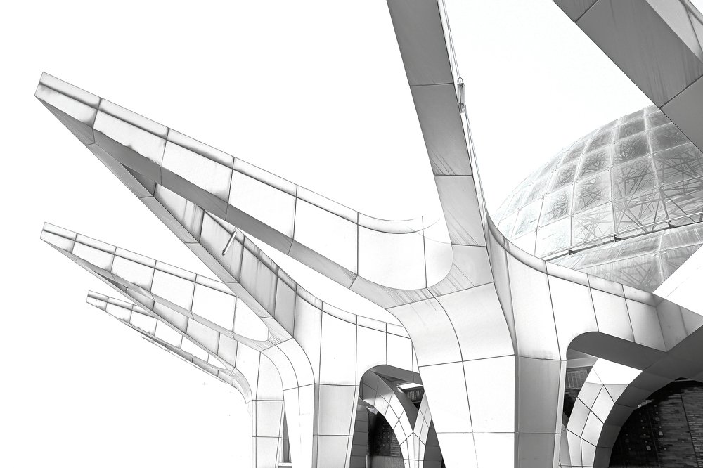 Photograph by Sajad Nori