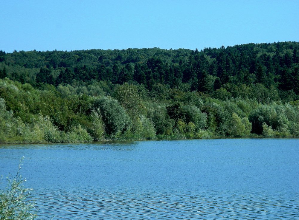 Photograph by Сергей Рапопорт