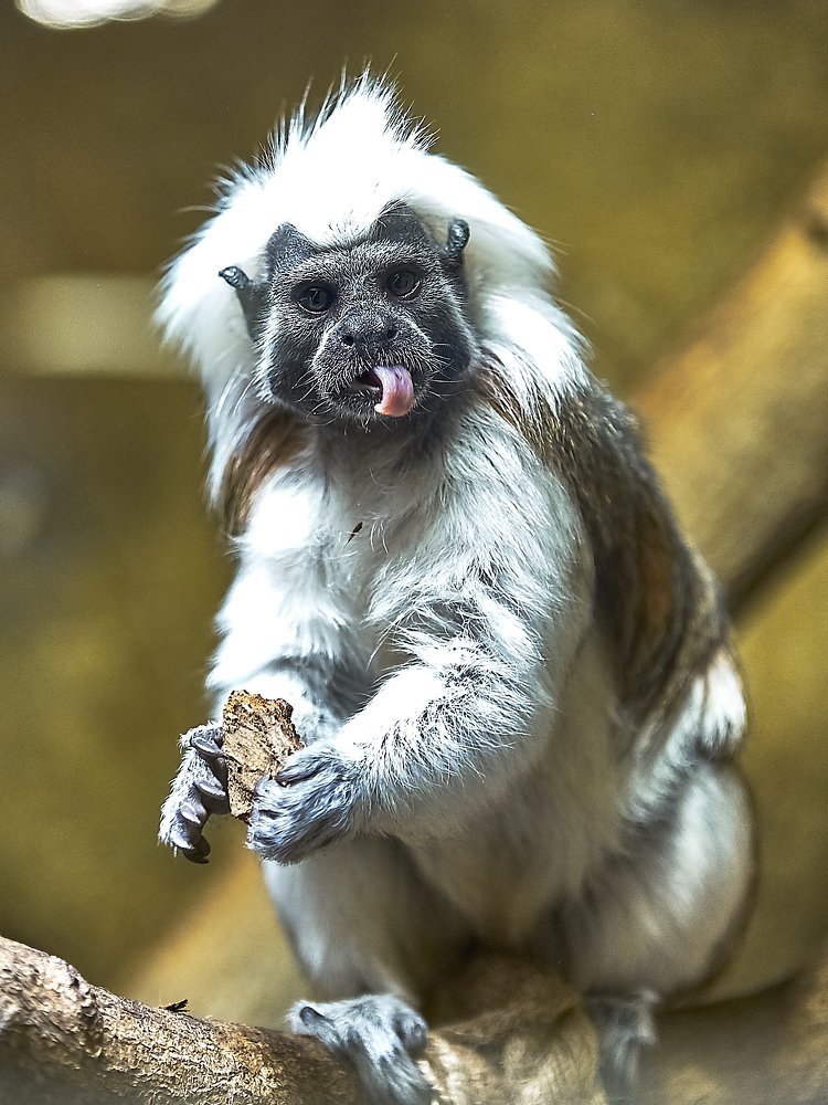 Photograph by Елена Мормоль