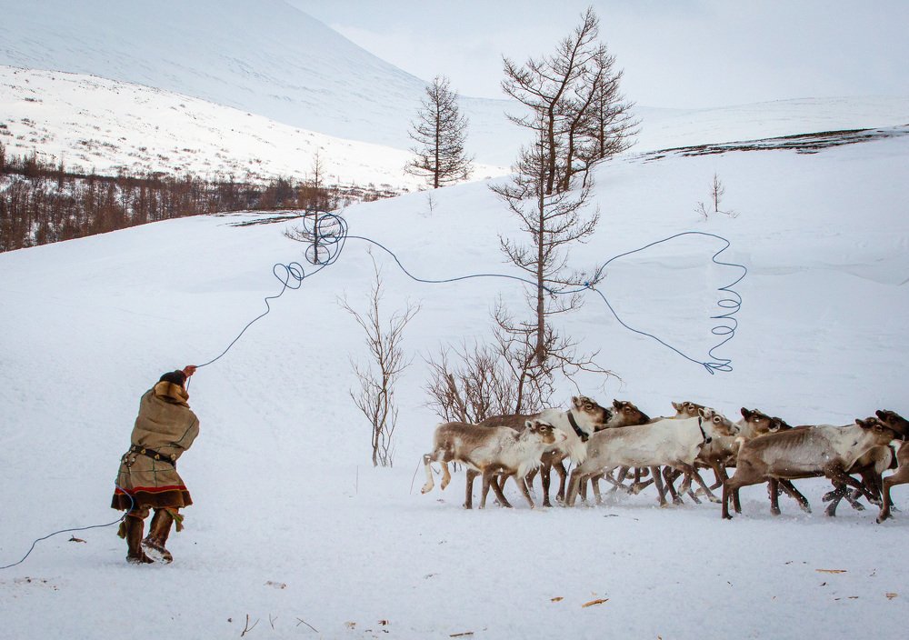 Photograph by Alfia Safuanova