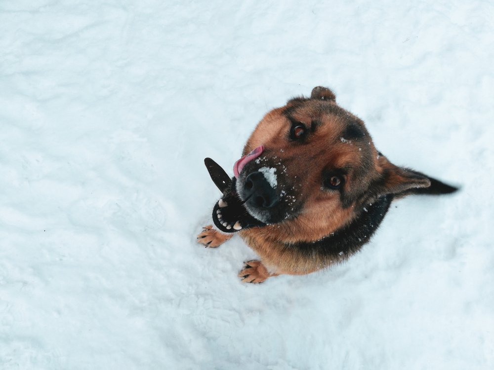 Photograph by Кузьма Чупин