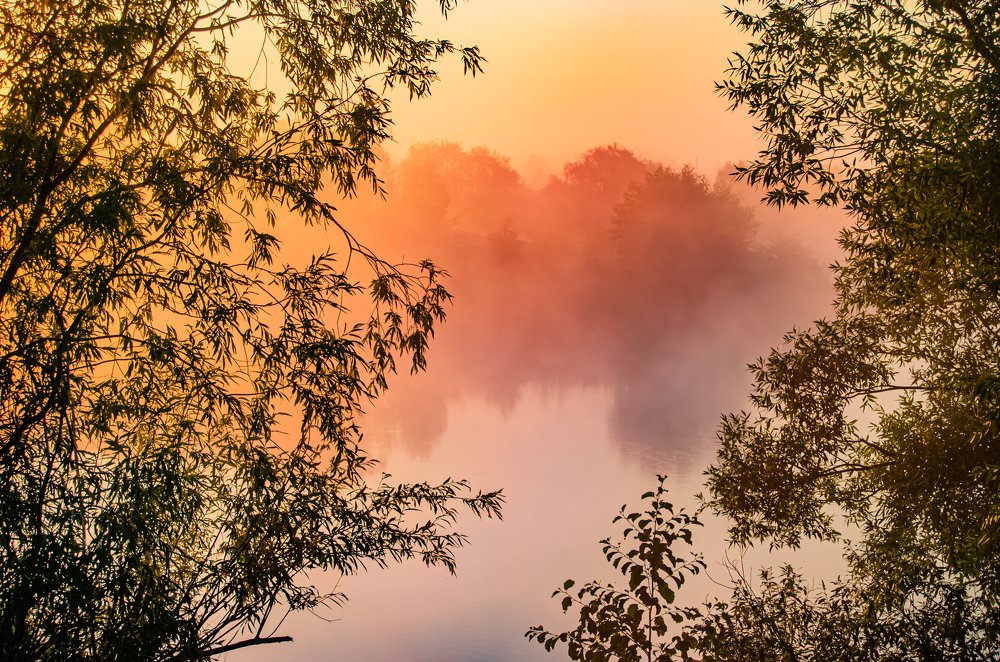 Предрассветные секунды