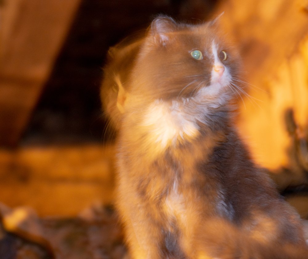 Photograph by Кузьма Чупин