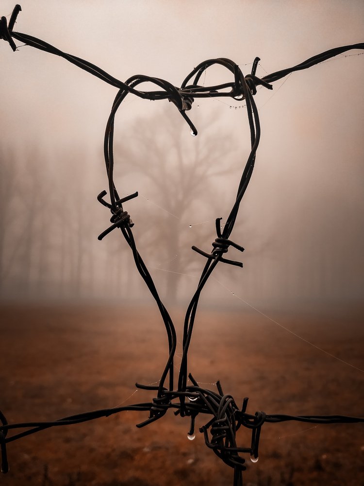 Heartshaped Barbwire