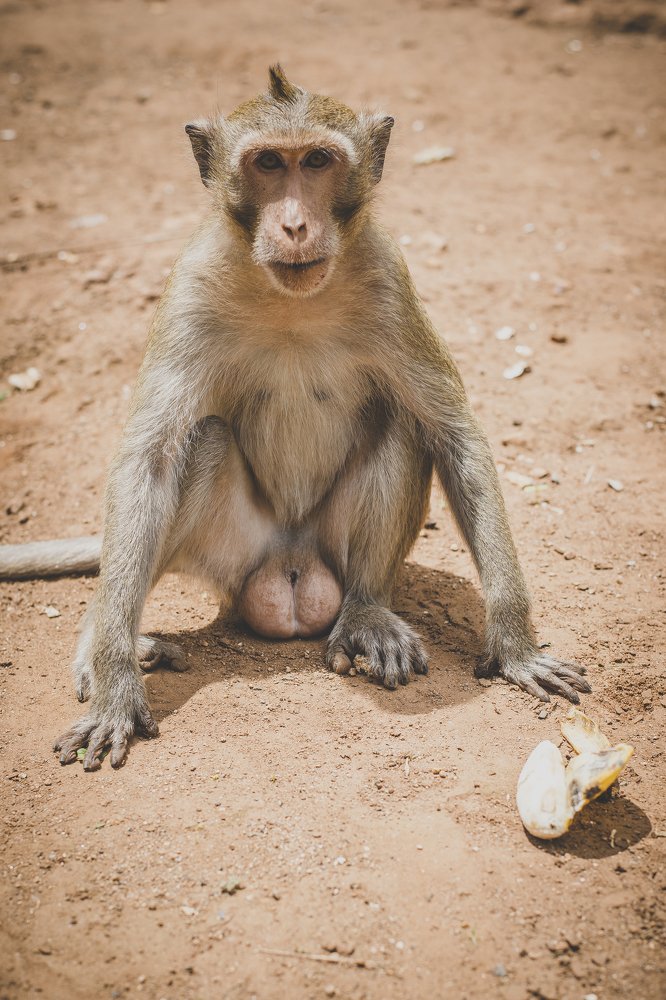 Фотография автора Екатерина Григорьева