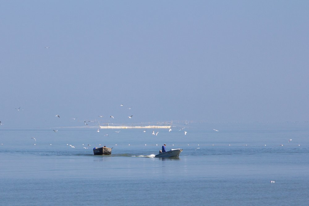 Домой с уловом