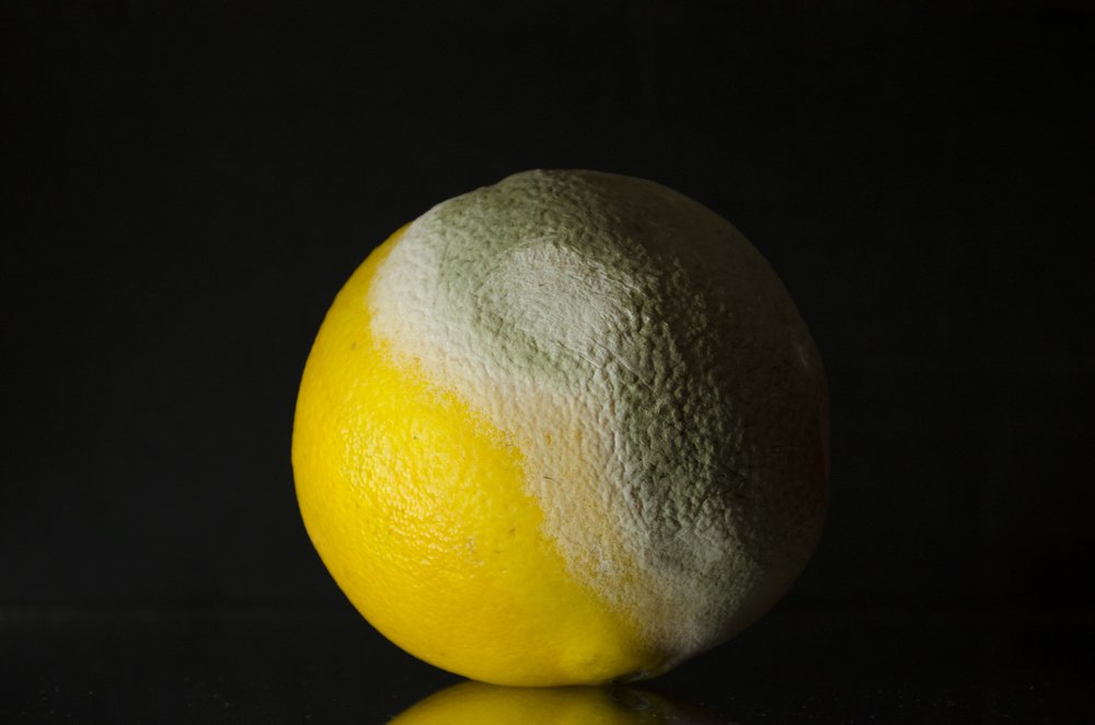 Photograph by Дмитрий